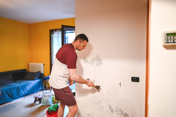 Best Same-Day Mold Removal  in Sullivan City, TX