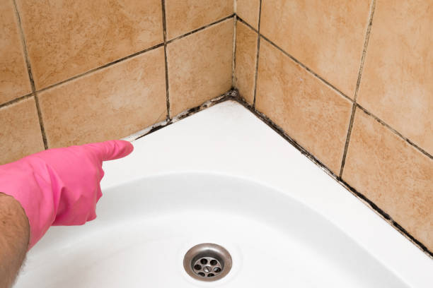 Water Damage Restoration in Sullivan City, TX